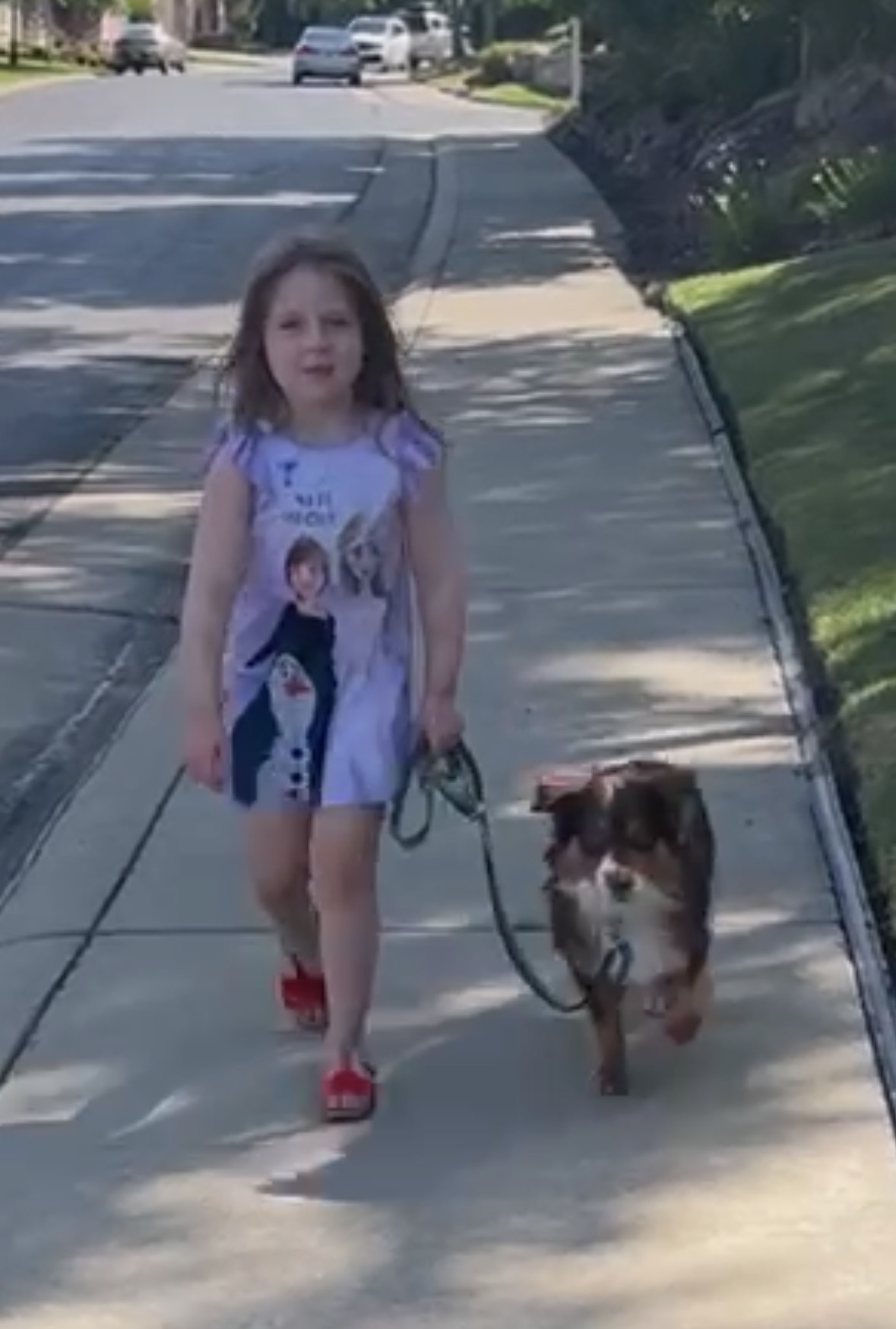 Bear walking on leash with Addie